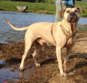 Austin at the Basin